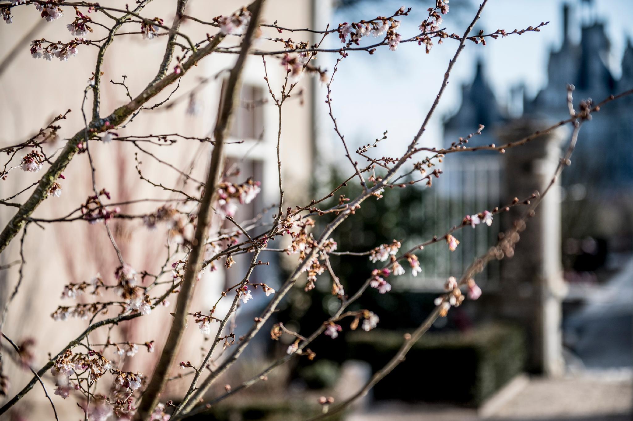 Relais De Chambord - Small Luxury Hotels Of The World Eksteriør billede